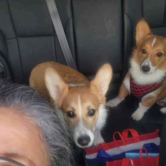 Meet your Posher, Chris - Picture 12 of 12